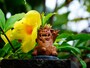 雨の日の沖縄をとことん満喫する方法を現地在住の筆者が紹介する