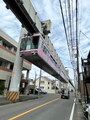 道路を走る車の上を行く、湘南モノレールの車両