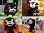 5月のくまモン、何していたの？ ©2010熊本県くまモン