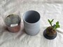 スタンダードプロダクツの「鉢」はおしゃれでスタイリッシュ。観葉植物も一緒に買える
