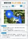 自由研究のまとめのサンプル（出所：Adobe Express アンバサダー北沢直樹さん）