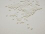 虫がわいた米の対処法