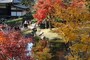円覚寺境内の妙香池付近の紅葉