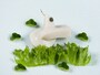 かまぼこで作った巳（蛇）が話題沸騰