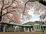 山手公園は穴場のお花見スポット。建物は公園管理センターとなっている歴史的建造物の「山手68番館」（2017年4月7日撮影）