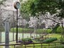 山手公園内には、会員制テニスクラブと横浜市有料スポーツ施設のテニスコートがそれぞれあります（2017年4月7日撮影）