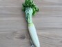 葉付きの大根
