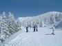 蔵王の樹氷（1）