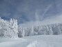 蔵王の樹氷（5）