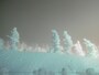 蔵王の樹氷ライトアップ（4）