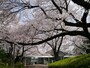 山手公園の管理事務所として利用されている「山手68番館」（2014年4月1日撮影）