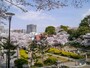 緑豊かな元町公園。春はサクラが咲き誇ります（2014年4月1日撮影）