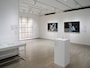 ギャラリー8「ひっくり返す・ひっくり返る」展示風景