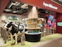 「ゆめが丘ソラトス」1階にあるスイーツ＆カフェ「Augusta Milk Farm」