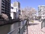 伏見