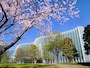 国立新美術館外観