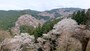 吉水神社・一目千本（1）