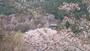 上千本から吉野山の桜を望む（2）