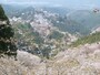 上千本から吉野山の桜を望む（3）