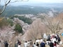 上千本から眺める吉野山の桜（6）