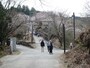 金峯神社の修行門と参道に咲く桜