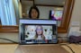 ダイヤモンド・プリンセスはオンラインミーティングもOK（Ｇoogle Meetsを利用）