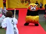わるものはわたしが許さないくまー