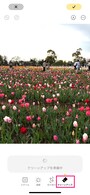 「クリーンアップ」を押すと、クリーンアップする候補を探し始めます