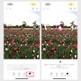 【写真のクリーンアップ】②（左）「クリーンアップ」を押すと、クリーンアップする候補を探し始めます→③（右）クリーンアップする候補として、人物が選択されています。まず、中央の2人を消してみましょう。選択されている箇所をタップします