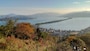 天橋立（4）／天橋立傘松公園からの眺め「斜め一文字」