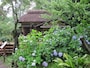 風情ある歴史的建造物とアジサイとのコラボレーション（提供画像）