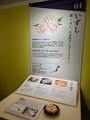 MIMの企画展「すしの千年を巡る旅」の展示