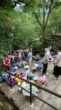 長谷寺・嵐の坂のあじさい（3）