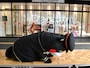 がっくりくまモン＝6月29日、熊本市