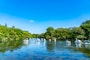 吉祥寺 井の頭恩賜公園の画像