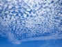 【うろこ雲】魚の鱗（うろこ）に似ている。高い空にできる巻積雲の1つ（画像出典：PIXTA）