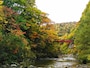 定山渓の名所「二見吊橋」と紅葉の渓谷（北海道）※撮影：大谷修一