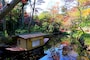 秋の紅葉庭園（根津美術館）の画像