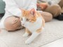 家族観の押し付けに耐えられず……（画像：PIXTA）