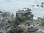 人面岩