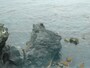 寝熊の岩