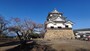 彦根城／天守（4）