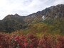 黒部平から望む紅葉（4）