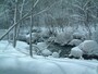 冬の奥入瀬渓流（1）
