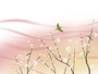 年賀状のマナー