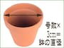 鉢のサイズは号数×3センチが直径となる