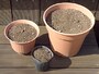 手持ちの鉢に入る土の量を把握しておこう