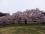 京都・醍醐寺