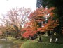 小石川後楽園の紅葉