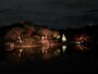 六義園の紅葉ライトアップ